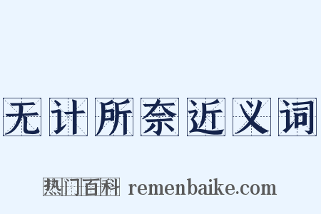 无计所奈近义词是什么意思的图片